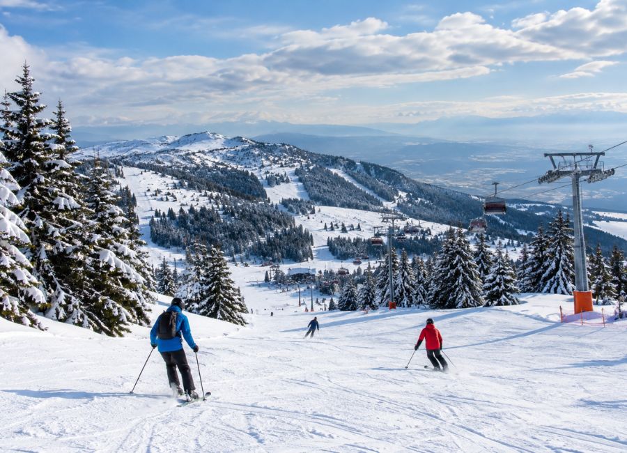Snow-covered slopes and pine trees at a Turkish winter ski resort